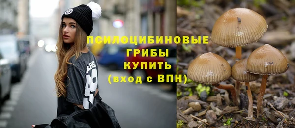 шишки Абинск