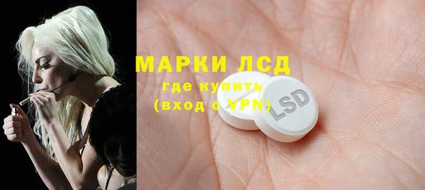 шишки Абинск