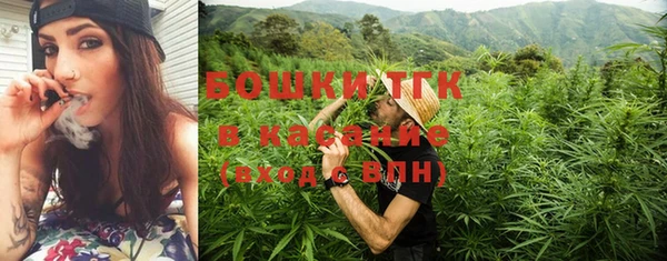 шишки Абинск