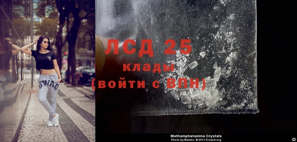 шишки Абинск